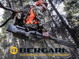 Bergara geweren