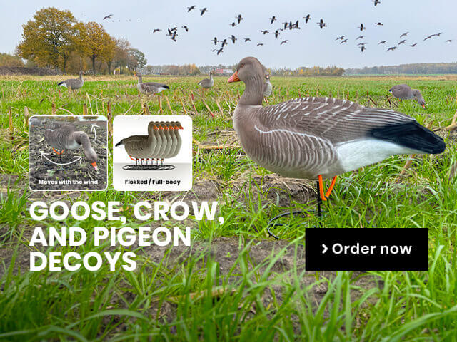 Decoys