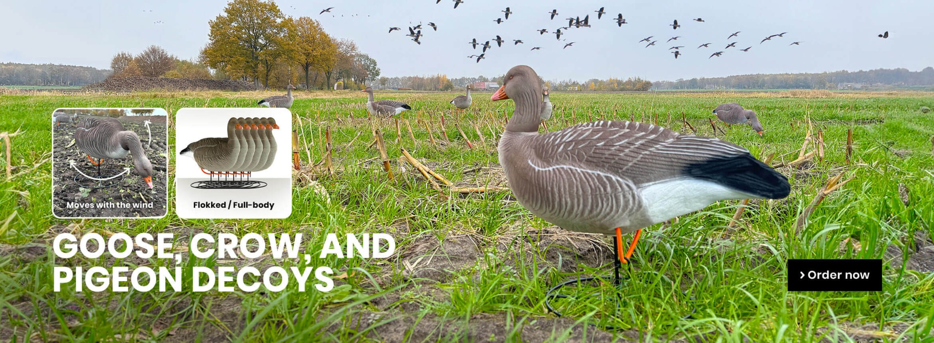 Decoys