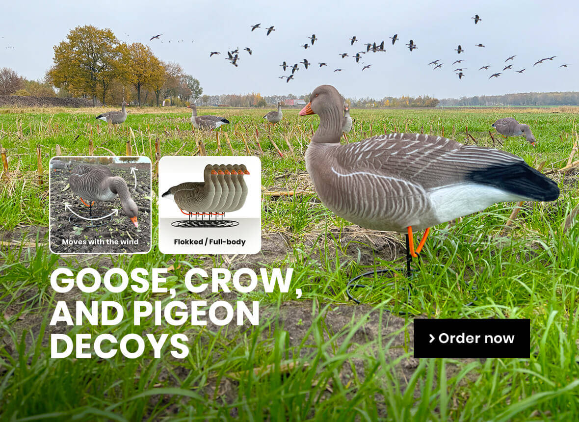Decoys