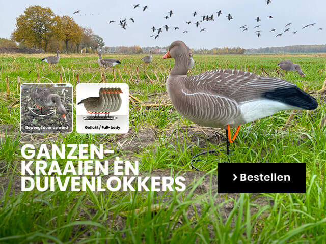 Lokkers