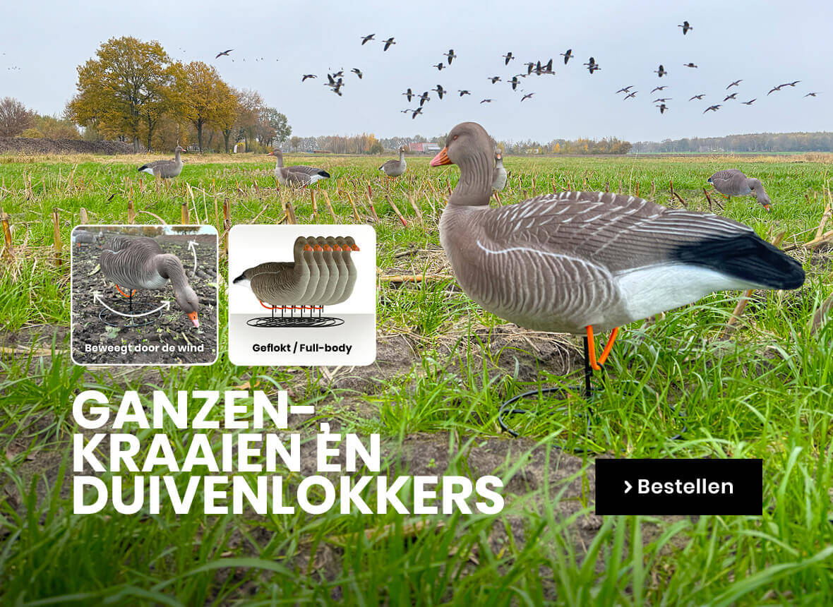 Lokkers