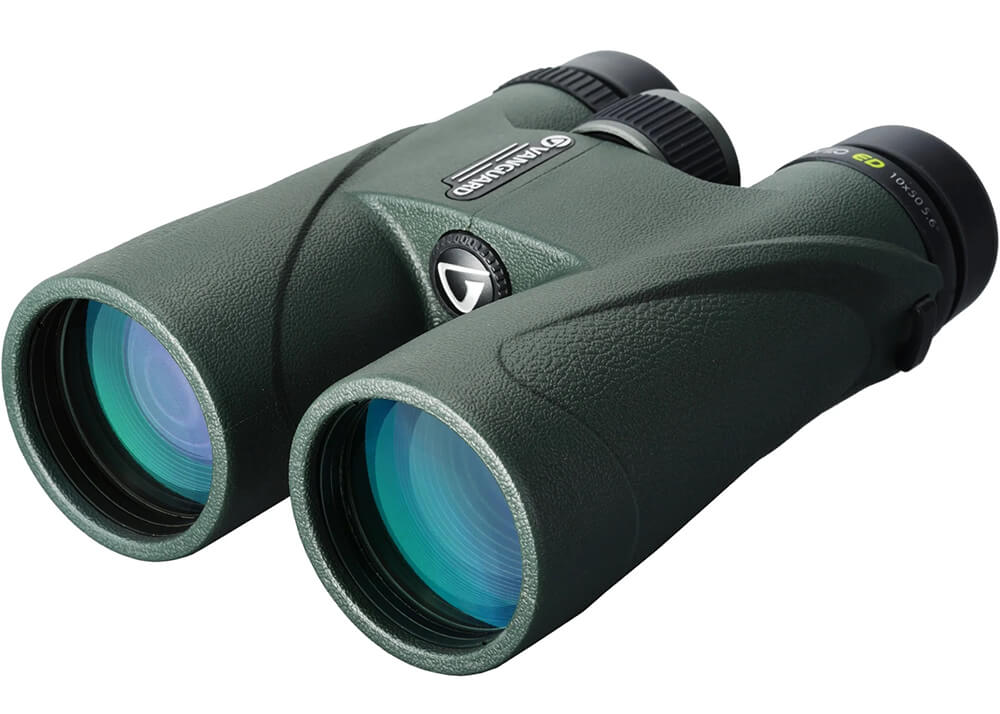 Are Ed Binoculars Scratch-Resistant? Discover Now!