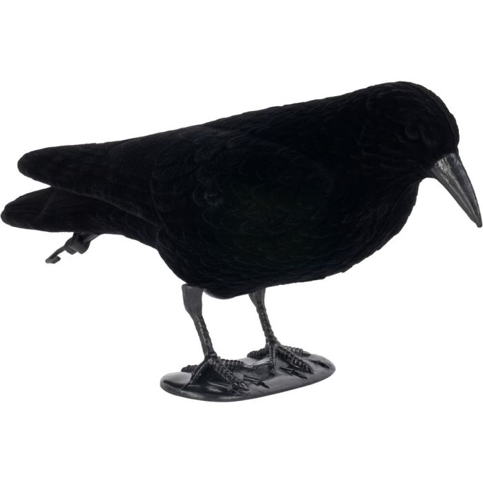 Crow Decoy Flocked Standing