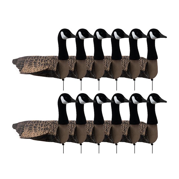 Decoy Sillosocks Canada Goose Standing 12-Pack
