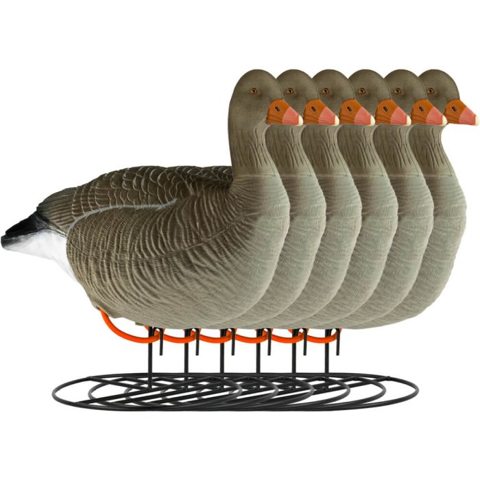 Decoy Greylag Goose Flocked Resting 6-pack