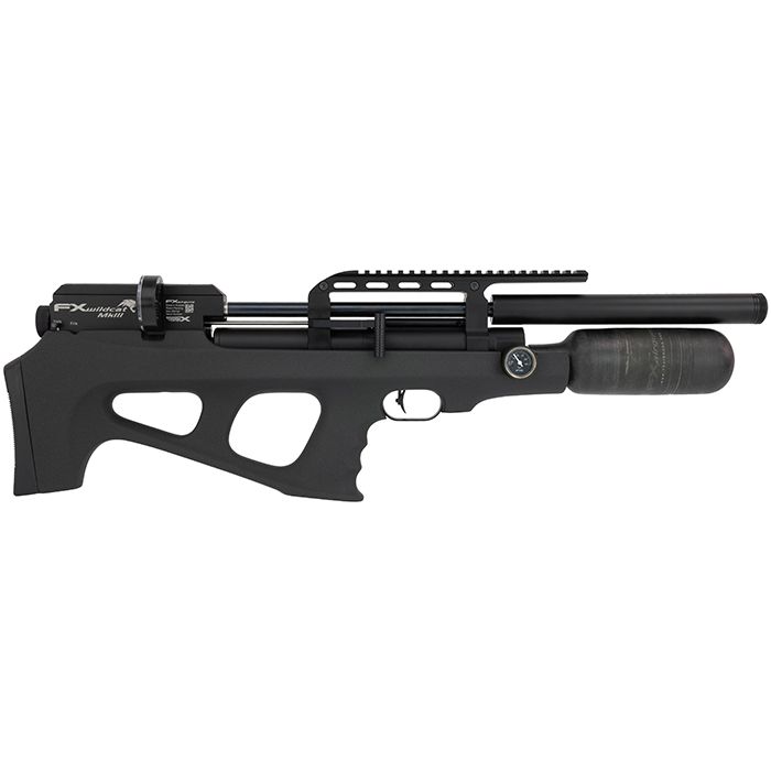 FX Wildcat MKIII BT Compact