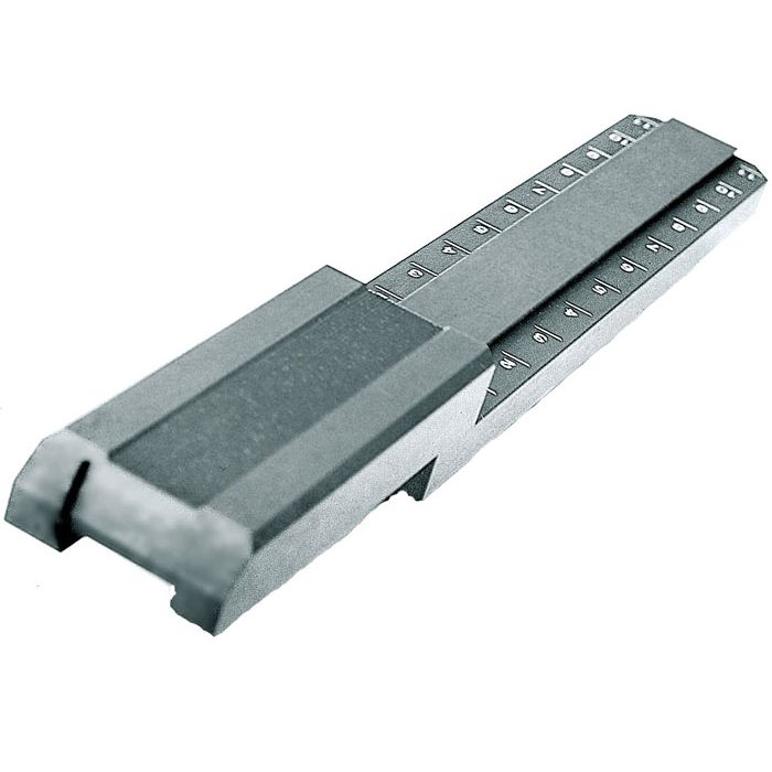 Rear sight rail AHG Tele
