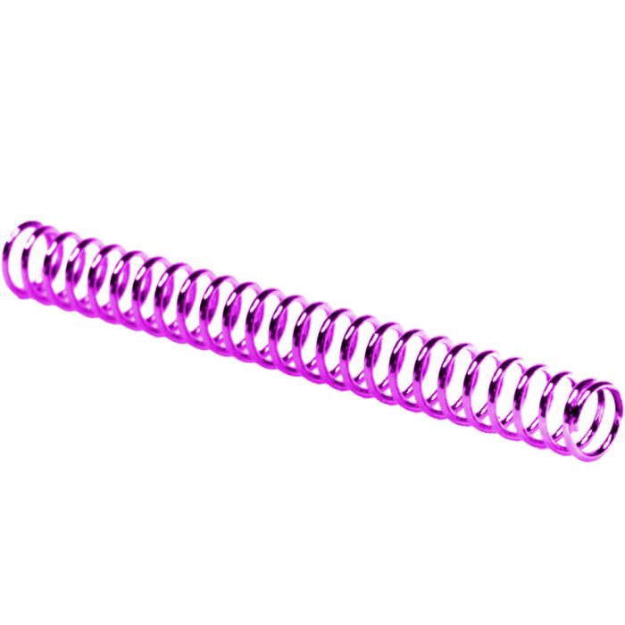 Recoil Spring Waldo Dynamics Ion for AAP-01