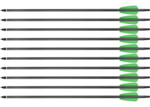 Bow Arrows Ek Archery Whipshot Carbon 15" 10-Pack