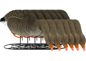 Decoy Greylag Goose Flocked Foraging 6-pack