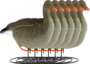 Decoy Greylag Goose Flocked Resting 6-pack