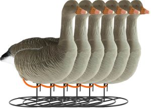 Decoy Greylag Goose Flocked Standing 6-pack