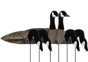 Decoy Sillosocks 2D/3D Canada Goose Harvester 6-Pack
