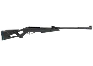 Occasion Gamo Whisper IGT