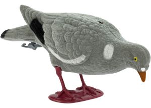 Pigeon Decoy Flocked Foraging