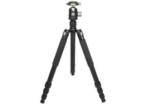 Tripod Ulfhednar met Balhoofd Arca-style 20 kg