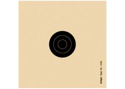 Air rifle skills training target 1440 bullseye with the rings 6 and 8 10x10