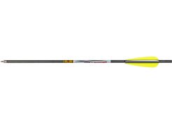 Airbowpijl FX Gold Tip 20"
