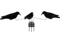 Carousel with 3 Crows