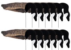 Decoy Sillosocks Canada Goose Foraging 12-Pack