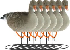 Decoy White-Fronted Goose Flocked Resting 6-pack