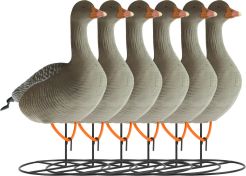 Decoy White-Fronted Goose Flocked Standing 6-pack