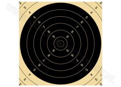 Kruger Centre for bigbore rifle 300 m target, 2410