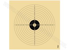 Recreational Target 1312 1 Bullseye