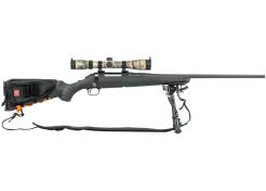 Occasion Ruger American