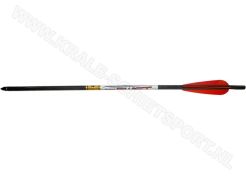 Airbow Arrow FX Gold Tip 20"