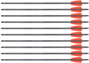 Kruisboogpijlen EK Archery Cobra R-Bolt 15"