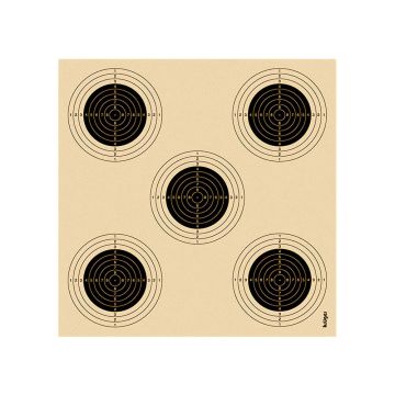 Air rifle target with 5 bullseyes 1305 14x13.5 (unnumbered)