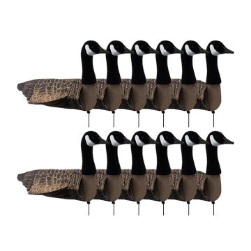 Ganzenlokker Sillosocks Canadese Gans Statig 12-Pack