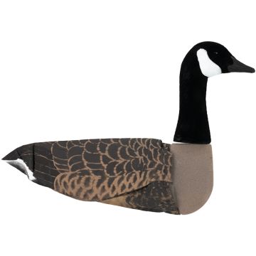 Ganzenlokker Sillosocks Canadese Gans Statig