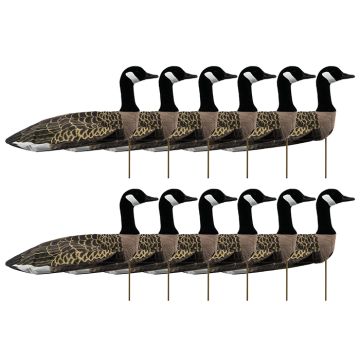 Ganzenlokker Sillosocks FlockSox Canadese Gans Statig 12-Pack
