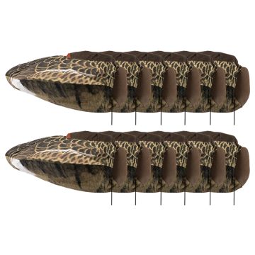 Ganzenlokker Sillosocks Grauwe Gans Slapend 12-Pack