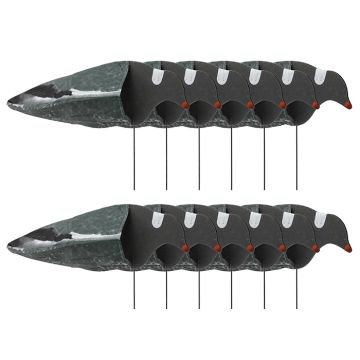 Duivenlokker Sillosocks Harvester 12-Pack