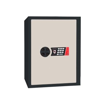 Safe Griffon S.50.E