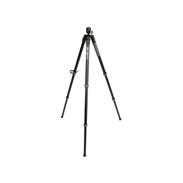 Tripod BOG Infinite Arca Swiss