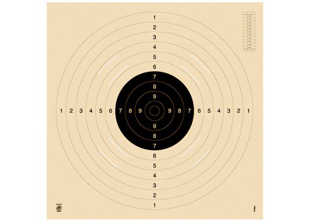 Pistol 25/50 m and smallbore rifle 100 m target with slot 3100S 55x55