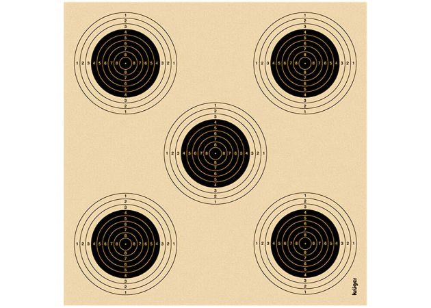 Air rifle target with 5 bullseyes 1305 14x13.5 (unnumbered)