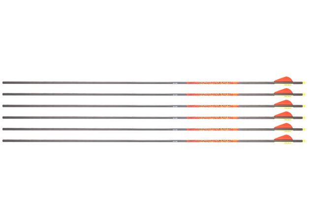 Bow Arrows Black Eagle Outlaw Fletched