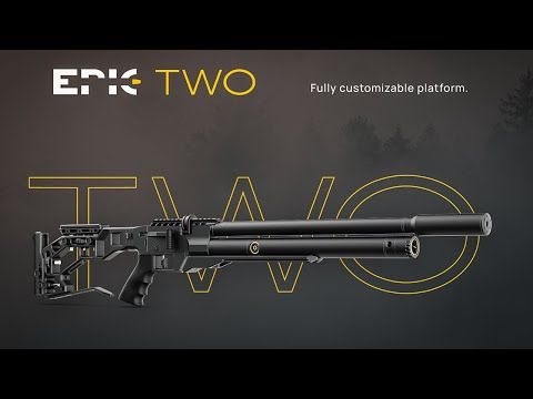 Walter Pp series ガス Airgun Walter Pp series ガス Airgun