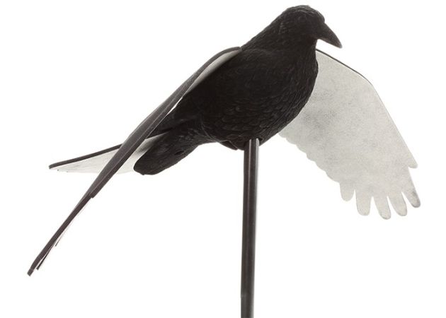 Crow Decoy Flocked Flying