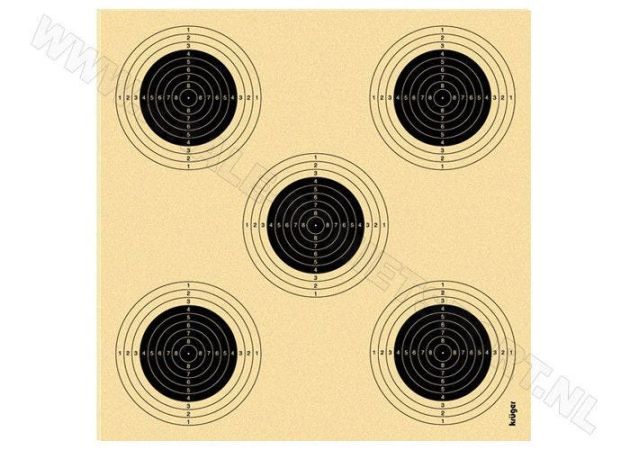 Air rifle target with 5 bullseyes 1305N (numbered)