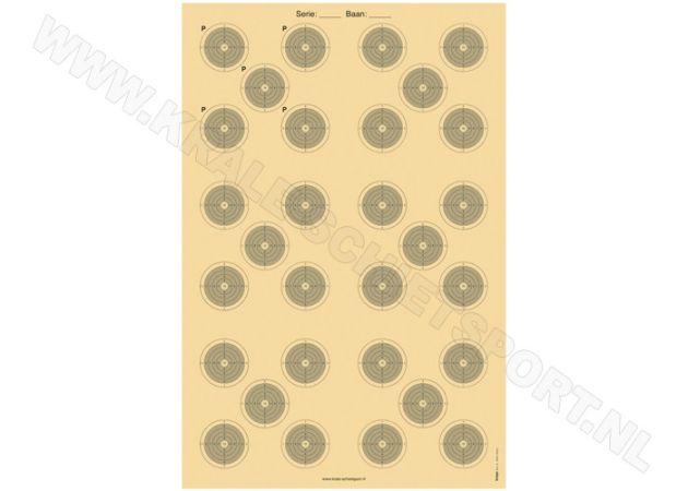 Precision rifle target 100 meter 4060N