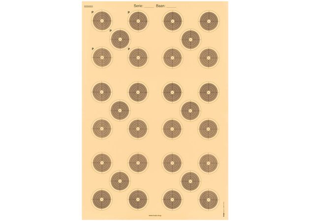 Precision rifle target 100 meter 4060N