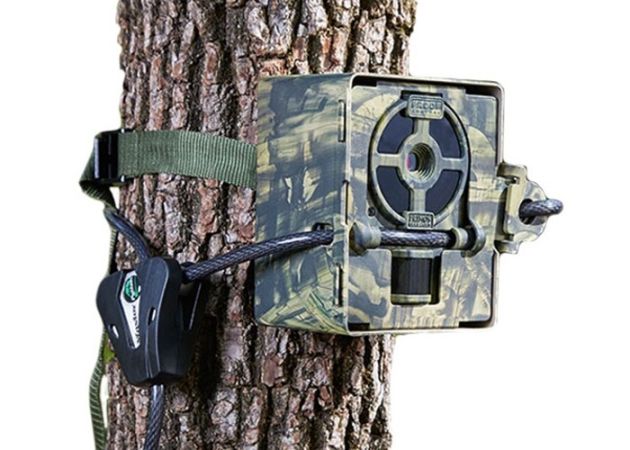 Security Box Primos for Proof wildlife cameras