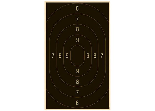 Service Pistol small bore 3201/60N 35x50 (numbered)